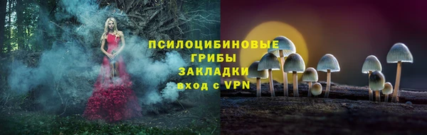 apvp Алексеевка