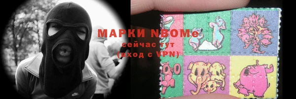 гашик Алексин