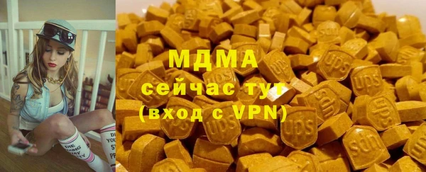 гашик Алексин