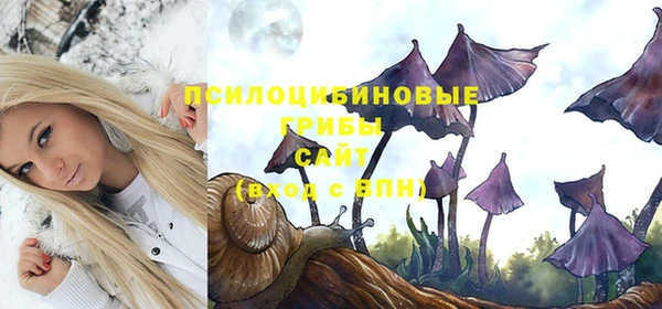 apvp Алексеевка