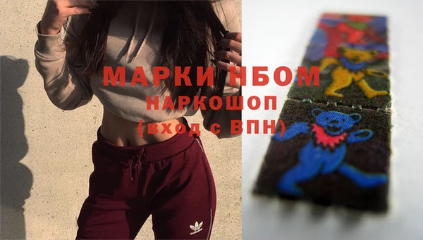 гашик Алексин