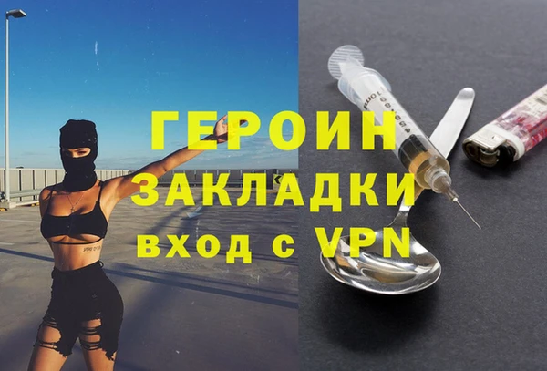 гашик Алексин