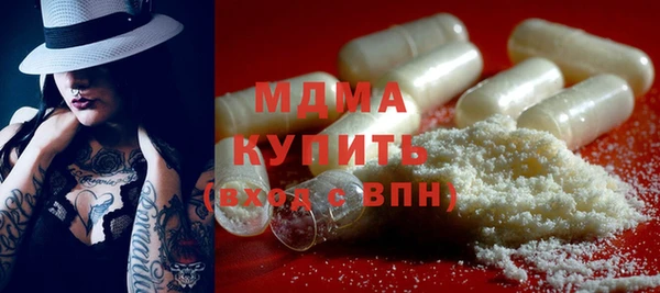 гашик Алексин